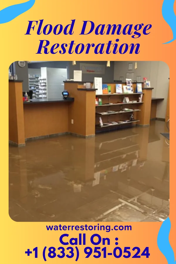 Flood Damage Restoration in Holmesville, OH