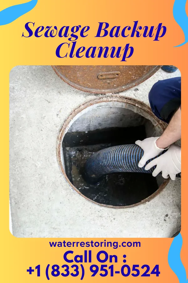 Sewage Backup Cleanup in Holmesville, OH