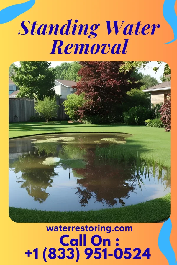 Standing Water Removal in Holmesville, OH